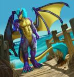 anthro beach behemoth89 boardwalk clothing dragon fence grass hi_res looking_at_viewer male muscular muscular_male nude plant reaching reaching_out reaching_towards_viewer sand scalie sea seaside shore solo solo_focus swimwear water western_dragon wings 