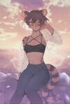 anthro blurred_background bottomwear breasts brown_body brown_fur brown_hair clothed clothing cloud crop_top felid feline female fully_clothed fur hair hi_res looking_at_viewer mammal markings midriff navel outside pants pupils rock round_ears shirt short_hair sitting slim slit_pupils small_breasts smile solo striped_body striped_fur striped_markings striped_tail stripes sunset tail_markings tight_bottomwear tight_clothing tight_pants topwear translucent translucent_clothing translucent_shirt translucent_topwear woopo yellow_eyes 