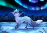  ambiguous_gender aurora_borealis blue_body blue_eyes blue_fur canid canine feral fox fur looking_up mammal outside rukifox snow solo walking 