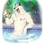  animal_genitalia anthro balls beverage black_nose canid canine canis chest_tuft claws detached_sheath detailed_background finger_claws fingers fur genitals hi_res male mammal muscular muscular_anthro muscular_male nipples nude outside partially_submerged pecs penis penis_tip sheath solo tongue tongue_out tritscrits tuft water white_balls white_body white_fur white_sheath wolf 