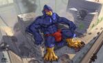  2022 absurd_res anthro avian bird building bulge city clothed clothing destruction detailed_bulge falco_lombardi hi_res high-angle_view macro male muscular muscular_male nintendo sitting solo speedo star_fox swimwear topless topless_male video_games worship zephyxus 