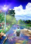  animal bag bird cloud cloudy_sky day falling_petals flower furoshiki highres lamp light light_rays little_pine looking_to_the_side outdoors park penguin petals road scenery sky standing street summer tree 