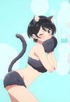  1girl animal_ears animal_hands blush cat_ears cat_paws cat_tail highres kanojo_okarishimasu looking_at_viewer sarashina_ruka short_hair smile tail 