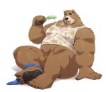  2022 absurd_res anthro belly big_belly black_nose blush bodily_fluids brown_body brown_fur clothing food fur hi_res humanoid_hands jumperbear kemono male mammal overweight overweight_male popsicle shirt simple_background sitting solo sweat topwear ursid 