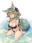  1girl animal_ear_fluff animal_ears bikini black_bikini black_ribbon breasts collarbone commentary_request full_body green_eyes green_hair hair_between_eyes hair_ribbon highres kuromiya kuromiya_raika large_breasts looking_at_viewer multicolored_hair navel open_mouth orange_hair original partially_submerged ribbon side-tie_bikini sitting solo swimsuit tail twitter_username two-tone_hair wariza water 