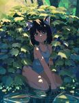  1girl :o absurdres animal_ear_fluff animal_ears artist_name bangs bare_arms bare_legs bare_shoulders black_hair blue_shirt blush cat_ears collarbone commentary dappled_sunlight day english_commentary eyebrows_behind_hair green_eyes hand_on_ground highres kgt_(pixiv12957613) leaf lily_pad looking_at_viewer medium_hair nature no_pants on_ground original outdoors panties panty_peek parted_lips plant purple_panties seiza shirt signature sitting sleeveless sleeveless_shirt solo sunlight tank_top thighs underwear water water_drop 