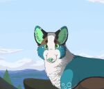 2014 aliasing ambiguous_gender blue_body blue_fur blue_sky bluekyokitty brown_body brown_fur canid canine cel_shading circle_eyebrows cloud day detailed_background digital_drawing_(artwork) digital_media_(artwork) eyebrows feral fox fur glistening glistening_eyes green_eyes green_inner_ear green_nose half-length_portrait looking_at_viewer mammal mountain outside plant portrait sebdoggo shaded sky snout solo tree water whiskers white_body white_fur white_whiskers