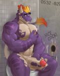 anthro bathroom chorogon erection genitals glory_hole hi_res male masturbation nude penile penile_masturbation penis public public_restroom restroom_stall semi_public sitting sitting_on_toilet solo toilet