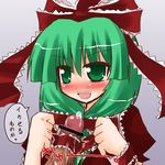  arayama_reiichi blush front_ponytail green_eyes green_hair kagiyama_hina open_mouth penis penis_wrap precum ribbon smile solo touhou translated 