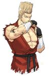  1boy bara bare_pectorals beard_stubble character_request cropped_legs dougi houjoh_(7th-heaven) large_pectorals looking_at_viewer male_focus muscular muscular_male pectorals solo tekken thick_eyebrows tsurime 