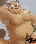 2024 anthro armpit_hair balls bodily_fluids body_hair canid canine censored erection genitals hi_res kemono male mammal moobs musclegut musk nipples overweight overweight_male penis raccoon_dog shiike999 simple_background solo sweat tanuki