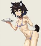  1girl animal_ear_fluff animal_ears bikini black_hair breasts collar collarbone cup dog_ears dog_tail fangs front-tie_bikini_top front-tie_top highres holding holding_saucer looking_at_viewer micro_bikini navel nipple_slip nipples onimushi_hyogo open_mouth original paw_pose saucer short_hair sidelocks simple_background small_breasts smile solo swimsuit tail teacup yellow_eyes 