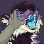 animated anthro black_body black_fur black_nose blue_mouth blue_stripes bodily_fluids canid canine canis demosfen dragon fenrisloxias fur holding_mouth_open hybrid male mammal open_mouth purple_body purple_fur saliva solo stripes wolf