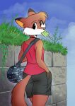  2022 anthro black_body black_eyes black_fur canid canine chochi choker clothed clothing cloud duffel_bag eyelashes food fox fully_clothed fur grass hi_res jewelry looking_back lovely_pets male mammal mike_blade necklace plant popsicle red_body red_fox red_fur sky solo walking wall_(structure) 