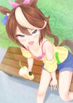  :d animal_ears bench blush bra brown_hair cup day denim denim_shorts downblouse drinking_straw fang feet_out_of_frame highres holding holding_cup horse_ears horse_girl konowa_(pixiv30906526) looking_at_viewer multicolored_hair off-shoulder_shirt off_shoulder outdoors pink_bra shirt shorts sitting smile streaked_hair tokai_teio_(umamusume) two-tone_hair umamusume underwear white_hair yellow_shirt 