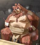 2024 anthro bandage belly big_belly brown_body brown_fur canid canine fur group hi_res hon55728 humanoid_hands kemono male mammal moobs nipples overweight overweight_male raccoon_dog solo solo_focus sumo sumo_wrestler tanuki