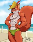 abs absurd_res anthro athletic athletic_anthro athletic_male beach biceps big_tail blue_sky boardwalk bottomwear broad_shoulders bulge bycocket canid canine chest_tuft clothing dangerfuzz disney eyebrows feathers fox green_clothing guardrail hands_on_hips hat headgear headwear hi_res horizon male mammal muscular muscular_anthro muscular_male muscular_thighs pecs raised_eyebrow red_fox robin_hood robin_hood_(disney) sea seaside shorts sky smile smiling_at_viewer smirk smirking_at_viewer solo speedo swimming_trunks swimwear tail tuft water