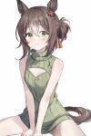 1girl animal_ears bare_arms bare_shoulders blush breasts brown_hair brown_tail chinese_commentary cleavage cleavage_cutout closed_mouth clothing_cutout commentary_request cowboy_shot ear_ornament fine_motion_(umamusume) gradient_hair green_eyes green_sweater hair_between_eyes hair_ornament hair_ribbon highres horse_ears horse_girl horse_tail looking_at_viewer multicolored_hair procreate_(medium) red_ribbon ribbon short_hair simple_background sitting sleeveless sleeveless_sweater smile solo streaked_hair sweater tail turtleneck turtleneck_sweater umamusume v_arms white_background white_hair zeniaguan 