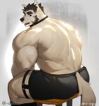  1boy animal_ears ass back_muscles bara dog_boy dog_ears dog_tail doooo_(doooo24) feet_out_of_frame from_behind furry furry_male highres huge_eyebrows looking_at_viewer male_focus mature_male muscular muscular_male mutton_chops original short_hair sitting solo strongman_waist tail thick_thighs thighs topless_male white_fur 