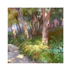  bush dappled_sunlight day fern forest grass mimoth nature no_humans original painting_(medium) plant scenery sunlight traditional_media tree tree_shade 