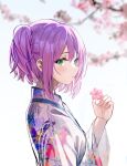  1girl blurry blurry_background blush branch cherry_blossoms devl_ga_aru floral_print flower green_eyes hair_between_eyes highres holding holding_flower hololive japanese_clothes kimono long_sleeves looking_at_viewer multicolored_hair parted_lips pink_hair print_kimono purple_hair short_sidetail side_ponytail sidelocks simple_background solo tokoyami_towa two-tone_hair upper_body virtual_youtuber white_background white_kimono wide_sleeves 