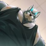 2024 anthro big_pecs black_clothing black_shirt black_tank_top black_topwear blue_body blue_eyes blue_fur blue_horn canid canine canis ceiling chest_tuft clothing domestic_dog fur hair hi_res horn husky inside looking_at_viewer looking_down looking_down_at_viewer male mammal meme multicolored_body multicolored_fur muscular muscular_anthro muscular_male nipples nordic_sled_dog orzero orzero_(character) pecs shirt solo spitz tank_top topwear tuft two_tone_body two_tone_fur white_body white_fur white_hair
