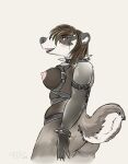 anthro badger bdsm belt blush blush_lines bondage bound breasts collar female hi_res looking_at_viewer mammal mustelid musteline p.v.su pvsu raised_tail simple_background solo spiked_collar spikes tail