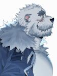  1boy animal_ears another_eidos-r bara bare_pectorals bear_boy bear_ears beard chest_hair closed_eyes cross_scar dward_(another_eidos) facial_hair from_side full_beard furry furry_male gamubear highres huge_eyebrows jacket large_pectorals male_focus mature_male muscular muscular_male no_shirt open_clothes open_jacket pectorals profile scar short_hair smile solo thick_beard upper_body white_hair 