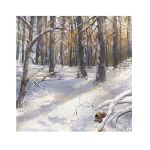  bare_tree creature day forest mimoth morning nature original scenery shadow snow sunlight sunrise tree tree_shade 