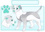  2016 aliasing ambiguous_gender blue_background button_ears canid canine canis digital_drawing_(artwork) digital_media_(artwork) digitigrade domestic_dog feral flat_colors floppy_ears footprint fur green_eyes grey_body grey_fur looking_at_viewer mammal microsoft_paint_(artwork) model_sheet open_mouth pawprint paws pit_bull raised_tail sebdoggo simple_background smile snout solo standing tail teal_inner_ear teal_nose teal_sclera teal_tongue tongue tongue_out white_body white_fur 