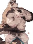  abs absurd_res anthro canid canine canis flaccid fur genitals grey_body grey_fur heart_symbol hi_res horkeu_kamui_(tas) lifewonders male mammal muscular muscular_anthro muscular_male nipples pecs penis penis_base solo tokyo_afterschool_summoners towel translucent_towel wolf yed 