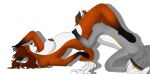  2017 anthro arched_back areola asami_hokuto beleththorn brown_hair brown_nose canid canine canis cunnilingus dark_nipples duo feet female foot_on_back fox fur grey_body grey_fur hair hands_on_hips holding_up_other_character hunter_keero kneeling leg_markings looking_pleasured lying male male/female mammal markings nipples nude on_back oral orgasm_face raised_leg red_body red_fox red_fur sex socks_(marking) striped_markings stripes true_fox vaginal wolf 
