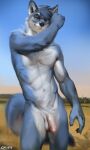  2022 anthro athletic balls blue_body blue_fur canid canine canis chunie claws detailed_background digital_media_(artwork) fur genitals hair hi_res humanoid_genitalia humanoid_penis looking_at_viewer male mammal navel nude penis solo wolf 