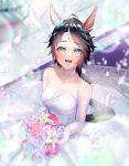  1girl ahoge alternate_costume animal_ears bangs bare_shoulders black_hair blurry blurry_background blush bouquet breasts choker cleavage collarbone dress flower fuji_kiseki_(umamusume) green_eyes hair_ornament highres holding holding_bouquet horse_ears horse_girl horse_tail lily_(flower) medium_breasts multicolored_hair nd_(nuuchadon10) off-shoulder_dress off_shoulder open_mouth petals rose short_hair smile solo sparkle streaked_hair tail umamusume veil wedding_dress white_dress 