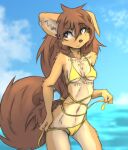  anthro apogee_(tinygaypirate) arm_tuft bikini black_nose breasts brown_body brown_eyes brown_fur brown_hair canid canine canis cheek_tuft cleavage clothed clothing cloud cowlick day domestic_dog ear_piercing elbow_tuft eyebrow_through_hair eyebrows eyelashes facial_markings facial_piercing facial_tuft female floppy_ears fur furgonomics furry-specific_piercing gauged_ear hair head_markings hi_res inner_ear_fluff leg_tuft long_hair looking_aside mammal markings messy_hair mottled mottled_nose muzzle_piercing navel nose_piercing outside piercing pink_nose raised_arm raised_eyebrow slim solo spitz standing swimwear tinygaypirate translucent translucent_hair tuft undressing water 