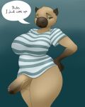 anthro balls big_breasts big_penis blackbetty bottomless breasts capybara caviid chubby_anthro clothed clothing erection foreskin fur genitals gynomorph hi_res humanoid_genitalia intersex looking_at_viewer mammal penis rodent solo thick_thighs