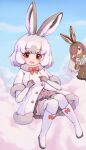  2girls animal_ears blue_sky boots bow bowtie brown_eyes brown_hair coat elbow_gloves european_hare_(kemono_friends) extra_ears gloves grey_hair hair_over_one_eye highres kemono_friends long_hair looking_at_viewer mountain_hare_(kemono_friends) multiple_girls outdoors rabbit_ears rabbit_girl shirt short_hair skirt sky sleeveless sleeveless_shirt snow thighhighs zzz_ansh 