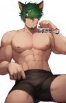  1boy abs absurdres animal_ears bara black_male_underwear boxer_briefs bulge closed_mouth facial_hair facial_mark feet_out_of_frame food goatee green_eyes green_hair gt_dune hair_between_eyes highres large_pectorals looking_at_viewer male_focus male_underwear muscular muscular_male navel nipples original parted_bangs paw_pose pectorals short_hair simple_background smile solo spread_legs sushi thighs topless_male twitter_username underwear underwear_only white_background 