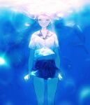  1girl agyou_sonokou_l air_bubble animal arms_at_sides bare_arms blue_eyes blue_skirt blue_theme blurry breasts bubble caustics closed_mouth dolphin feet_out_of_frame floating_hair light_smile long_hair looking_at_viewer midriff_peek miniskirt navel no_neckwear ocean original pleated_skirt school_uniform serafuku short_sleeves skirt straight-on submerged underwater 