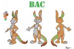  anthro chest_tuft digital_media_(artwork) facial_hair fan_character feral fur goatee green_eyes jak_and_daxter kbooki male mammal multiple_poses mustelid naughty_dog orange_body orange_fur ottsel paws pose semi-anthro simple_background solo sony_corporation sony_interactive_entertainment streaking tuft video_games 