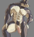  abs anthro canid canine canis domestic_dog genitals hi_res husky kemo_coliseum male mammal muscular muscular_anthro muscular_male nipples nordic_sled_dog nude pecs penis solo spitz vein veiny_penis volga 