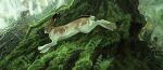  2022 ambiguous_gender brown_body brown_fur day detailed_background digital_media_(artwork) feral forest fur geosaiko1267 grass hare lagomorph leporid mammal moss outside paws plant solo tree white_body white_fur 