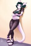 2:3 anthro bottomwear clothed clothing female hi_res jacket leather leather_bottomwear leather_clothing leather_jacket leather_pants leather_topwear looking_at_viewer pants pinup pose siamkhan solo standing topwear 