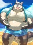  &lt;3 2022 anthro ayame42612 balls_outline barazoku beach black_nose bulge canid canine clothed clothing cloud genital_outline hoodie humanoid_hands kemono male mammal navel nipples open_clothing open_hoodie open_topwear outside penis_outline seaside solo swimwear topwear water 