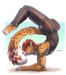  anthro barefoot big_butt blush bulge butt cheetah cheetahpaws cheetahpaws_(character) clothed clothing erection erection_under_clothing feet felid feline genital_outline hi_res male male/male mammal penis_outline scorpion_(position) solo tight_clothing yoga 