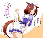  1girl ahoge animal_ears bangs breasts brown_hair cat cat_on_ass hairband highres horse_ears horse_girl horse_tail izumi_mahiru large_breasts leaning_forward looking_at_viewer looking_back meisho_doto_(umamusume) open_mouth puffy_short_sleeves puffy_sleeves purple_shirt sailor_collar school_uniform shirt short_sleeves skirt solo speech_bubble tail thighhighs tracen_school_uniform translation_request umamusume white_skirt white_thighhighs 