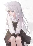  1girl absurdres animal_ears artist_name black_dress blue_eyes chiyuki0321 dress feet_out_of_frame grey_hair hair_ears highres long_hair long_sleeves looking_to_the_side original shirt_under_dress signature sitting solo very_long_hair yellow_eyes zoom_layer 