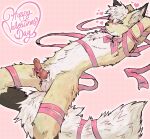 &lt;3 animal_genitalia animal_penis anthro balls bandage blush bow_ribbon canid canine canine_genitalia canine_penis erection fox fur genitals hair hi_res holidays knot looking_at_viewer male mammal nude penis presenting rexouium rexouium_hjortar sheath simple_background smile solo spreading tail valentine&#039;s_day wrapped