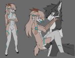 anthro duo female hi_res kevliwolf male male/female