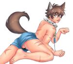 animal_humanoid arm_scar balls bangs barefoot blue_eyes boxers_(clothing) brown_hair canid canid_humanoid canine canine_humanoid clothing collar facial_scar feet garu_(nu:_carnival) genitals hair hi_res humanoid inner_ear_fluff leash leashed_collar leg_scar male mammal mammal_humanoid nu:_carnival penis prick_ears raynui scar short_hair smile solo spiked_collar spikes tail tan_body tan_skin toes tongue tongue_out tuft underwear wolf_humanoid